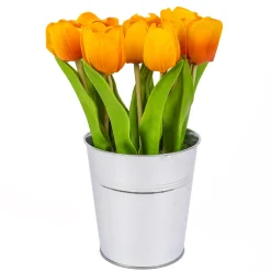 National Tree Company Potted Flower Plants^9" Orange Tulip Bouquet