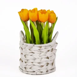 Flower Bouquets-National Tree Company 10" Orange Tulip Bouquet In White Basket