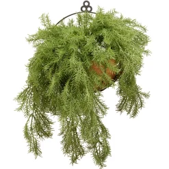 Hanging Plants-National Tree Company 20" Pine Branch Wall Basket