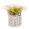 National Tree Company Potted Flower Plants^11" Pink Lily-Of-The-Valley Flowers In White Basket
