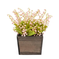 National Tree Company Potted Flower Plants^10" Pink Lily-Of-The-Valley Flowers In Wood Box