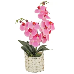 Potted Flower Plants-National Tree Company 21" Pink Orchid Flower In White Basket