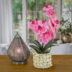 Potted Flower Plants-National Tree Company 21" Pink Orchid Flower In White Basket