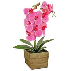 Potted Flower Plants-National Tree Company 21" Pink Orchid Flower In Wood Box