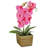 National Tree Company Potted Flower Plants^21" Pink Orchid Flower In Wood Box