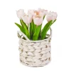 National Tree Company Potted Flower Plants^10" Pink Tulip Bouquet In White Basket