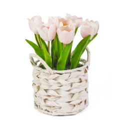 National Tree Company Potted Flower Plants^10" Pink Tulip Bouquet In White Basket