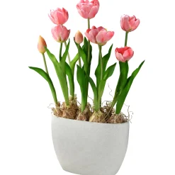 National Tree Company Potted Flower Plants^18" Pink Tulip Flowers
