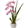 National Tree Company Potted Flower Plants^33" Potted Orchid Plant