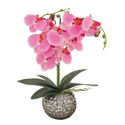 National Tree Company Potted Flower Plants^21" Potted Pink Orchid Flower