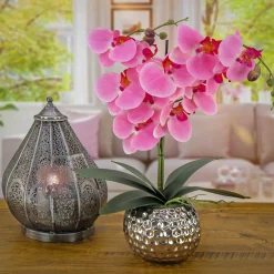 Potted Flower Plants-National Tree Company 21" Potted Pink Orchid Flower