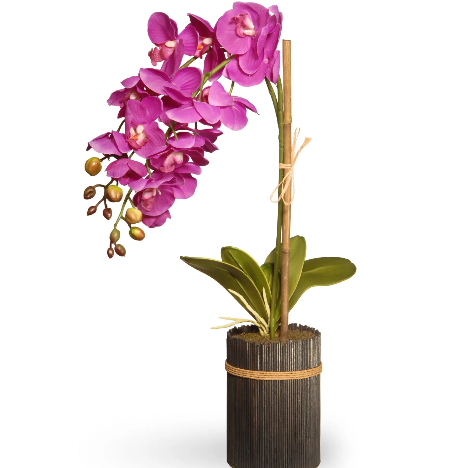 National Tree Company Potted Flower Plants^23" Potted Purple Orchid