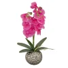 Potted Flower Plants-National Tree Company 21" Potted Purple Orchid Flower
