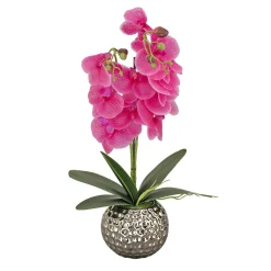 Potted Flower Plants-National Tree Company 21" Potted Purple Orchid Flower