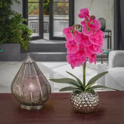 Potted Flower Plants-National Tree Company 21" Potted Purple Orchid Flower