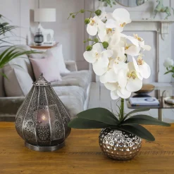 Potted Flower Plants-National Tree Company 21" Potted White Orchid Flower