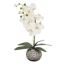 National Tree Company Potted Flower Plants^21" Potted White Orchid Flower