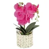 Potted Flower Plants-National Tree Company 21" Purple Orchid Flower In White Basket