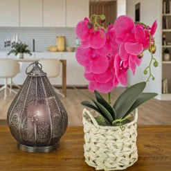 Potted Flower Plants-National Tree Company 21" Purple Orchid Flower In White Basket