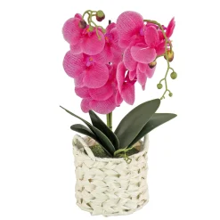 National Tree Company Potted Flower Plants^21" Purple Orchid Flower In White Basket