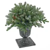 Christmas Greenery-National Tree Company 24" Snowy Morgan Spruce Porch Bush With Twinkly Led Lights