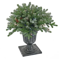 Christmas Greenery-National Tree Company 24" Snowy Morgan Spruce Porch Bush With Twinkly Led Lights