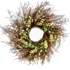 Flower Wreaths-National Tree Company 24" Spring Light Pink & Cream Forsythia Wreath