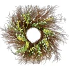 Flower Wreaths-National Tree Company 24" Spring White & Cream Forsythia Twig Wreath