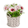 Flower Bouquets-National Tree Company 10" White Anemone Flower Bouquet In White Basket
