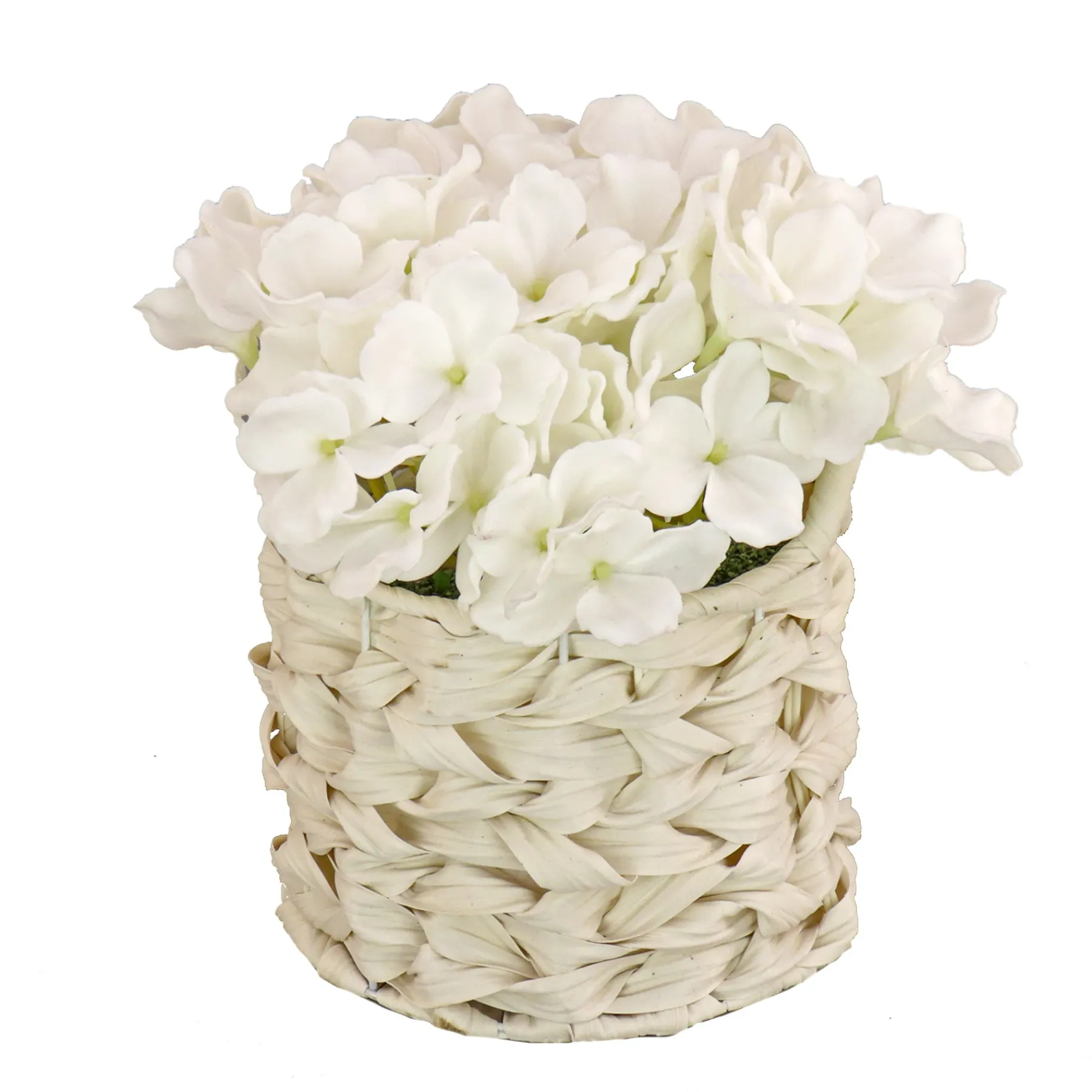 National Tree Company Potted Flower Plants^10" White Hydrangea Bouquet In White Basket