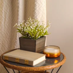 Potted Flower Plants-National Tree Company 10" White Lily-Of-The-Valley Flowers In Wood Box