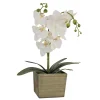 Potted Flower Plants-National Tree Company 21" White Orchid Flower In Wood Box