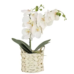 National Tree Company Potted Flower Plants^21" White Orchid Flower In White Basket