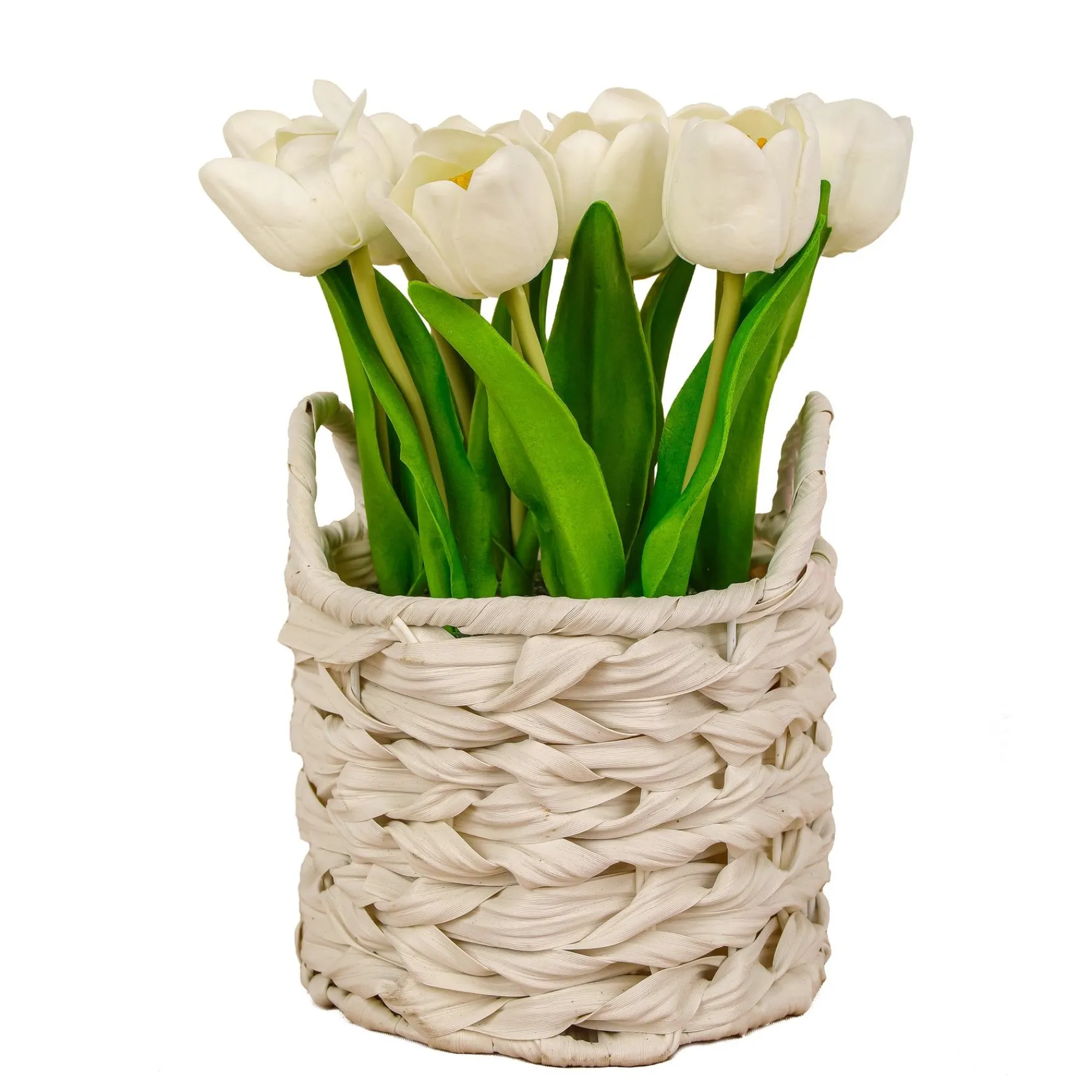 Flower Bouquets-National Tree Company 10" White Tulip Bouquet In White Basket