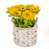 National Tree Company Potted Flower Plants^10" Yellow Anemone Flower Bouquet In White Basket