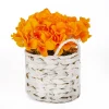 National Tree Company Potted Flower Plants^10" Yellow Hydrangea Bouquet In White Basket