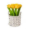 National Tree Company Potted Flower Plants^10" Yellow Tulip Bouquet In White Basket