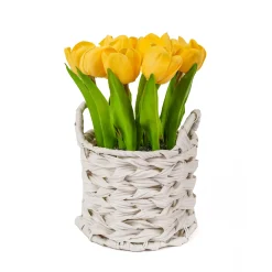 National Tree Company Potted Flower Plants^10" Yellow Tulip Bouquet In White Basket