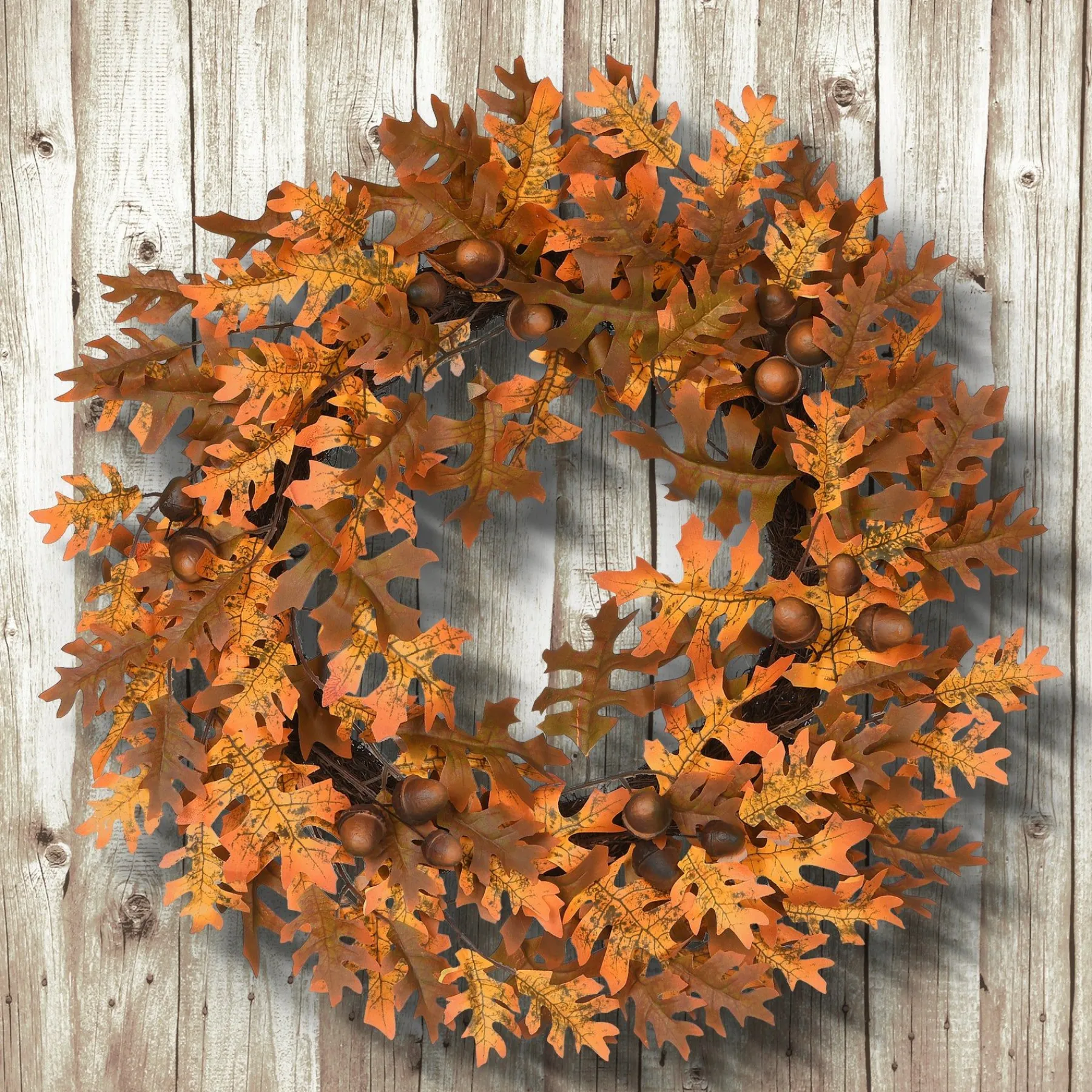 Harvest Wreath-National Tree Company Artificial Autumn Wreath, Decorated With Acorns, Oak Leaves, Autumn Collection, 24 In