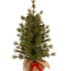 National Tree Company Full^Artificial Christmas Tree, Bristle Cone Pine, Includes Cloth Base, 3 Feet