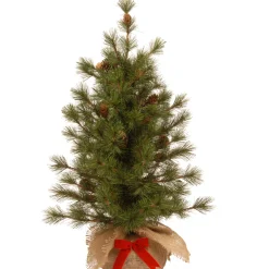 National Tree Company Full^Artificial Christmas Tree, Bristle Cone Pine, Includes Cloth Base, 3 Feet