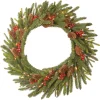 25" To 36" Wreath-National Tree Company Artificial Christmas Wreath, Green, Dorchester, Decorated With Pine Cones, Berry Clusters, Christmas Collection, 24 Inches