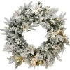 21" To 24" Wreath-National Tree Company Artificial Christmas Wreath, Green, Colonial Fir, White Lights, Decorated With Berry Clusters, Flowers, Frosted Branches, Christmas Collection, 24 Inches