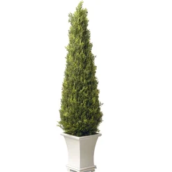 Topiaries / Shurbs-National Tree Company Artificial Entrance Tree, Juniper, Includes Stylish Wooden White Base, Spring Collection, 42 Inches