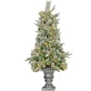 Warm White Led-National Tree Company Artificial Frosted Colonial Fir Entrance Christmas Tree With Berries And Poinsettia Flowers, Pre-Lit With Warm White Led Lights, Plug In, 4 Ft