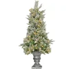 National Tree Company Slim^Artificial Frosted Colonial Fir Entrance Christmas Tree With Berries And Poinsettia Flowers, Pre-Lit With Warm White Led Lights, Plug In, 4 Ft