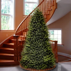 Unlit-National Tree Company Artificial Full Christmas Tree, Green, Dunhill Fir, Includes Stand, 10 Feet