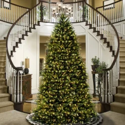 Full-National Tree Company Artificial Full Christmas Tree, Green, Dunhill Fir, Includes Stand, 14 Feet