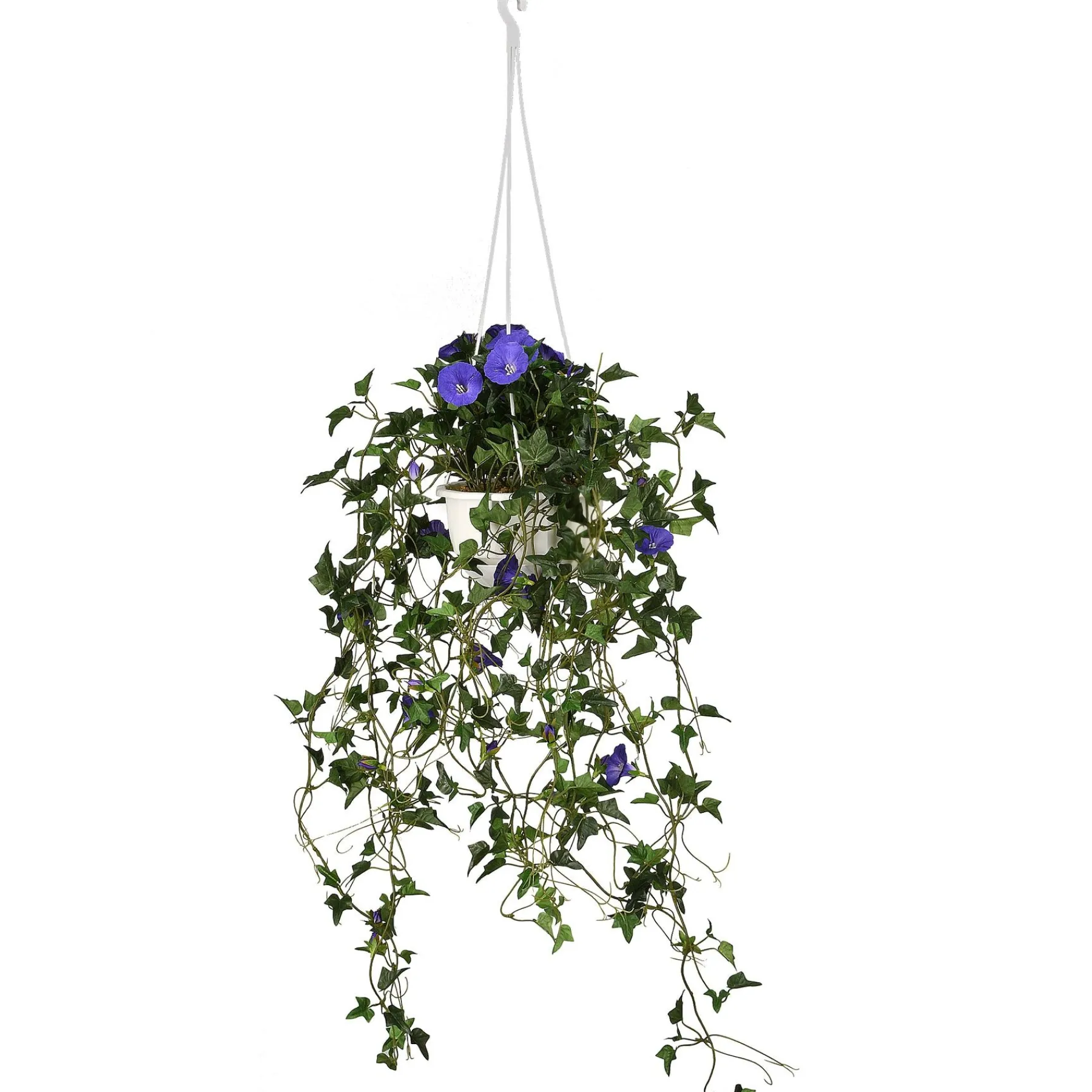 Hanging Flower Plants-National Tree Company Artificial Hanging Basket, Morning Glory, Decorated With Blue Flower Blooms, Long Green Vines, Includes Plastic Pot Base And Hanging Loop, Spring Collection, 44 Inches