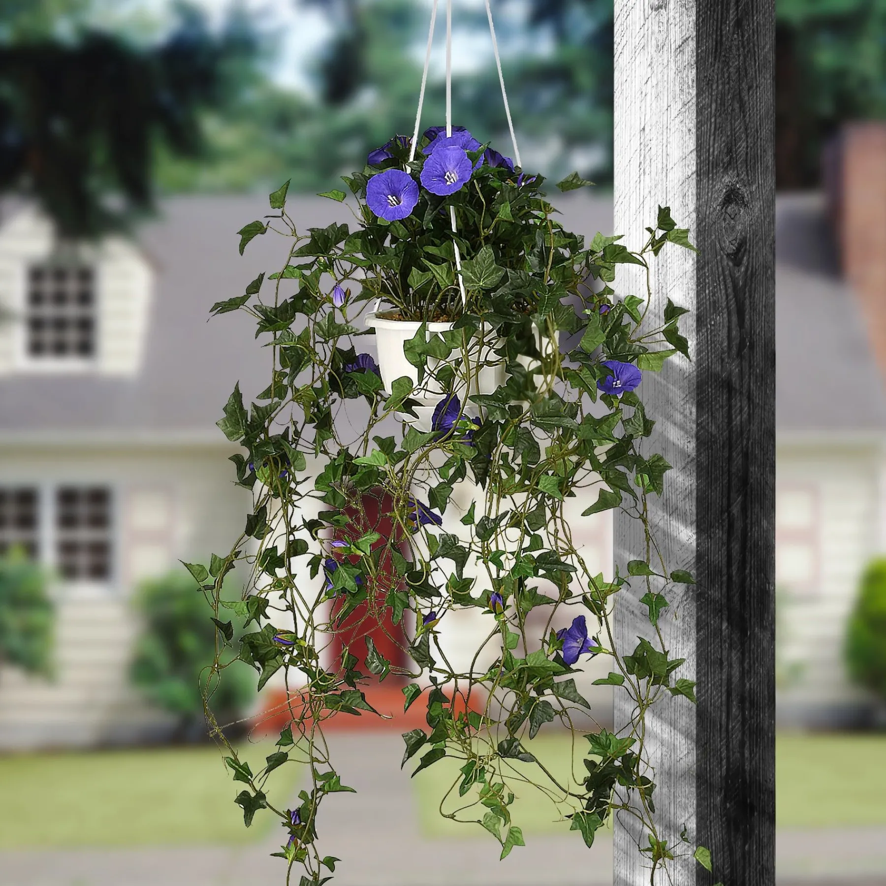 Hanging Flower Plants-National Tree Company Artificial Hanging Basket, Morning Glory, Decorated With Blue Flower Blooms, Long Green Vines, Includes Plastic Pot Base And Hanging Loop, Spring Collection, 44 Inches